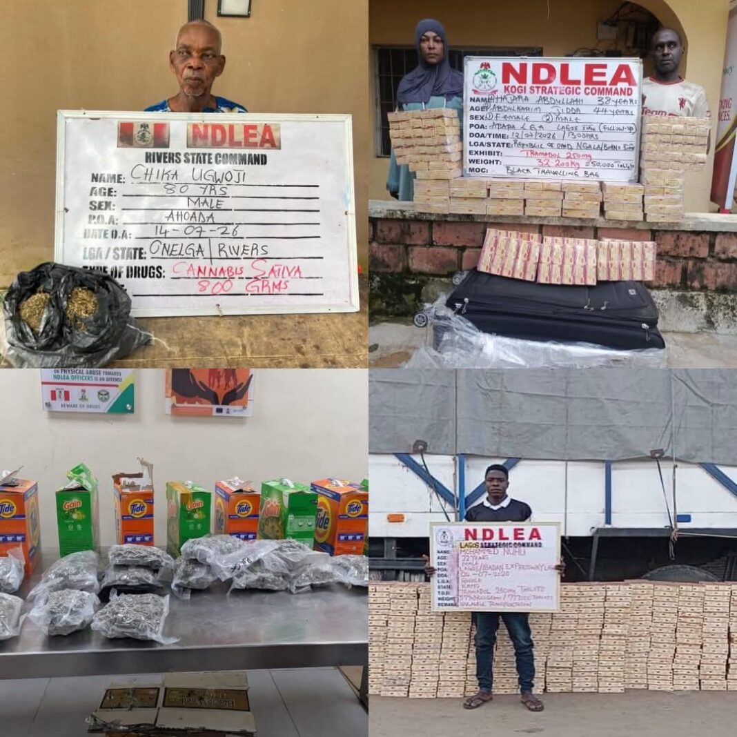 NDLEA INTERCEPTS 1.63 MILLION TRAMADOL PILLS BOUND FOR KANO, ARRESTS 80-YEAR-OLD SUSPECT NDLEA INTERCEPTS 1.63 MILLION TRAMADOL PILLS BOUND FOR KANO, ARRESTS 80-YEAR-OLD SUSPECT